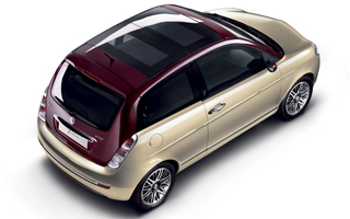 �C�v�V������